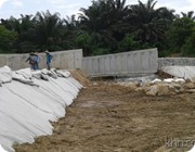 lkim_006
