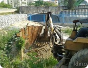 lkim_009